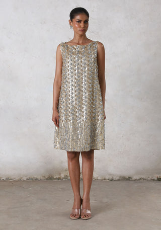 Mandarmani metallic dress