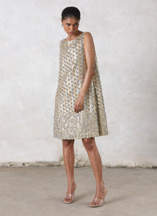 Mandarmani metallic dress