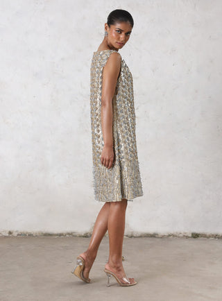 Mandarmani metallic dress