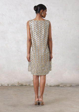 Mandarmani metallic dress