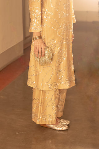 Beige embroidered kurta and pants