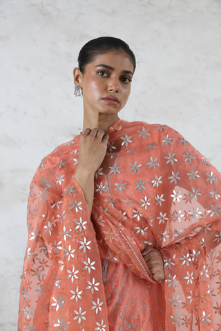 Sarada peach embroidered kurta set