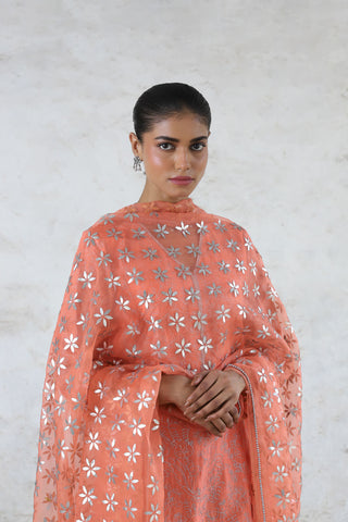 Sarada peach embroidered kurta set
