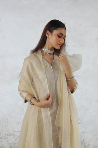 Charulata beige embroidered kurta set