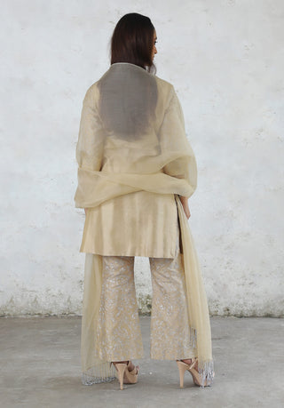 Charulata beige embroidered kurta set