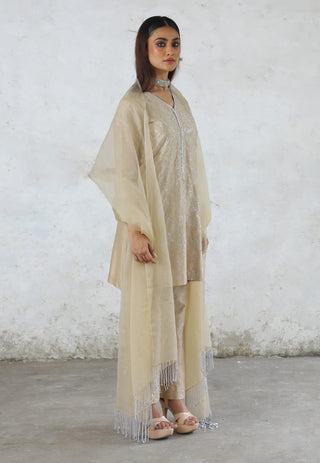 Charulata beige embroidered kurta set