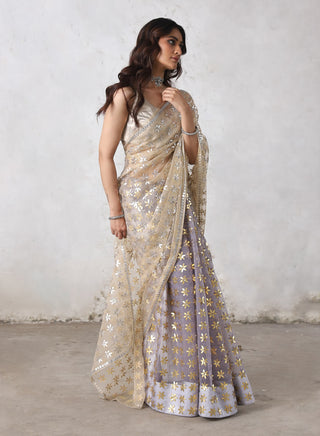 Karu-nadu beige sari and blouse piece