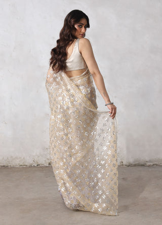 Karu-nadu beige sari and blouse piece