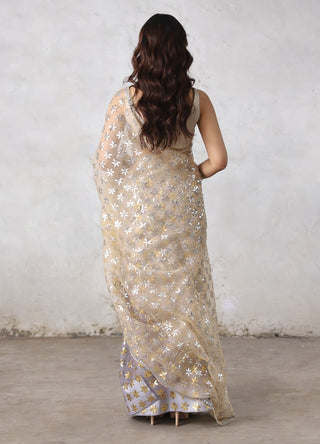 Karu-nadu beige sari and blouse piece