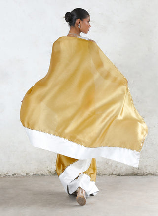 Indrani ochre sari and blouse piece