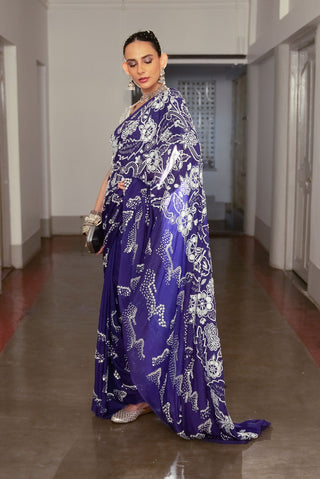 Violet embroidered sari and blouse