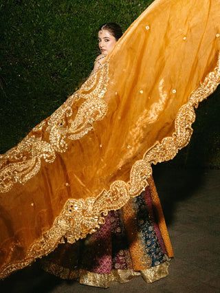 Kalidar multicolor lehenga set