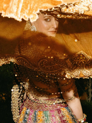 Kalidar multicolor lehenga set