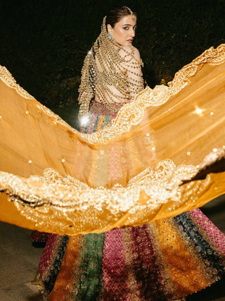 Kalidar multicolor lehenga set