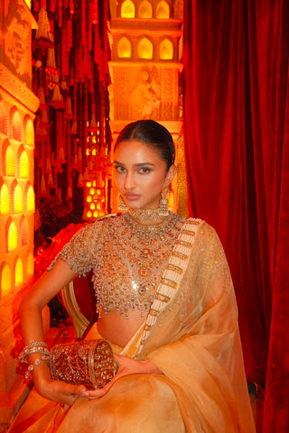 Kahani butter yellow jadau organza sari and blouse