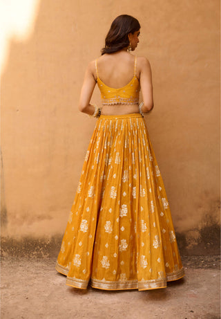 Chamee And Palak-Zest Mustard Jamewar Lehenga Set-INDIASPOPUP.COM