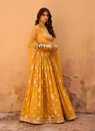 Chamee And Palak-Zest Mustard Jamewar Lehenga Set-INDIASPOPUP.COM