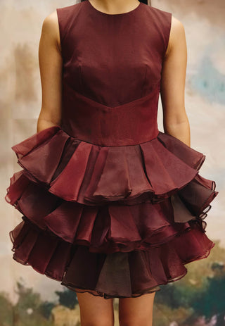 Deep current organza mini dress