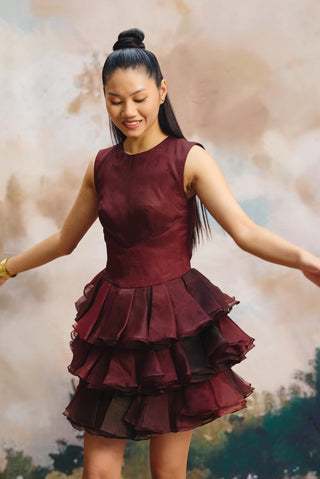 Deep current organza mini dress