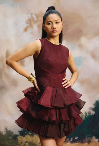 Deep current organza mini dress