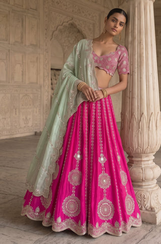 Gul-e-rani pink lehenga set