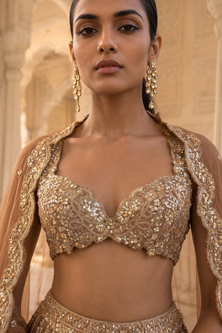 Swarna rani antique gold lehenga set