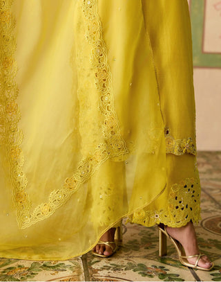 Yellow cutwork and 3d florals kurta set
