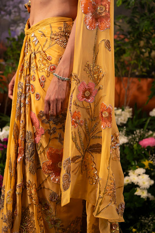 Apricot nargis sari and blouse