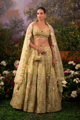 Sage green pariza lehenga set