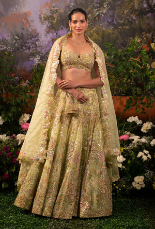 Sage green pariza lehenga set