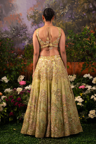 Sage green pariza lehenga set