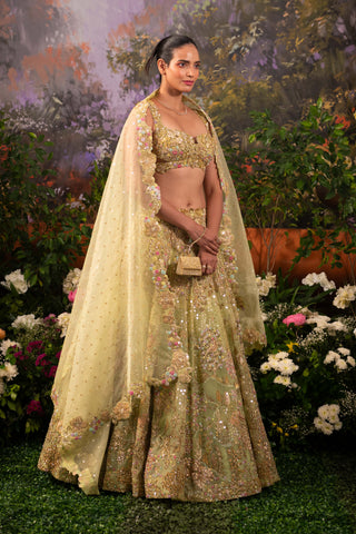 Sage green pariza lehenga set