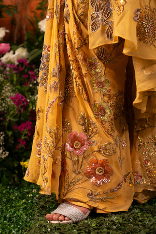 Apricot nargis sari and blouse