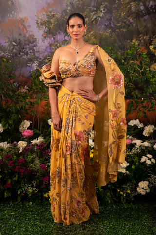 Apricot Nargis Sari And Blouse by Moledro available on Indiaspopup