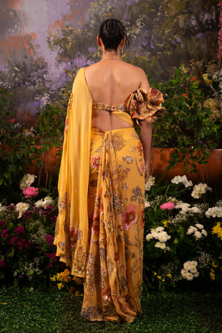 Apricot Nargis Sari And Blouse by Moledro available on Indiaspopup