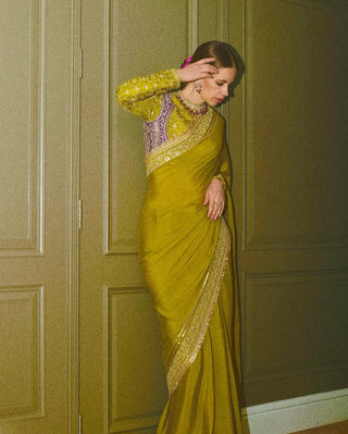 Nizaam green sari and blouse