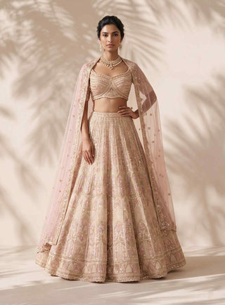 Ignis beige lehenga set