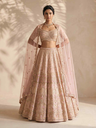 Ignis beige lehenga set
