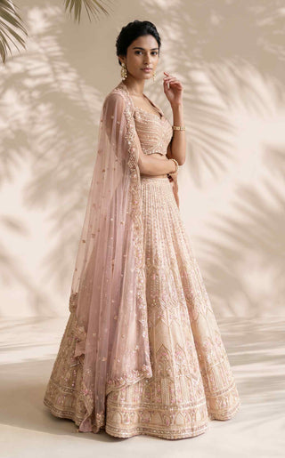 Ignis beige lehenga set