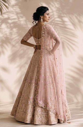 Ignis beige lehenga set