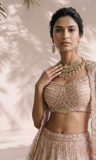 Ignis beige lehenga set