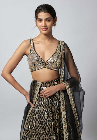 Ganishka black lehenga set