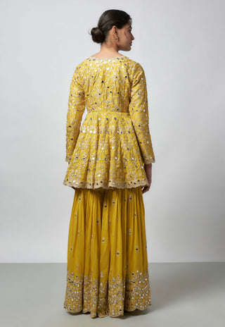 Jhalak yellow kurta and sharara