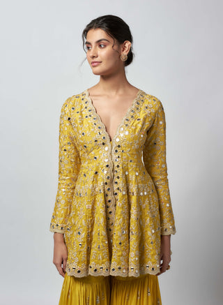 Jhalak yellow kurta and sharara