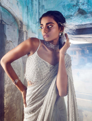Nitika Gujral-Beige Shimmer Georgette Sari Set-INDIASPOPUP.COM
