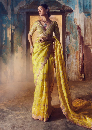 Nitika Gujral-Yellow Embroidered Organza Sari Set-INDIASPOPUP.COM