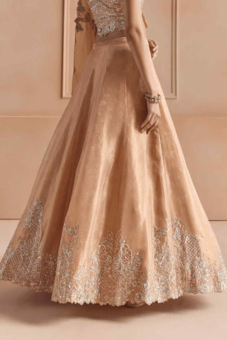Sepia gold tissue lehenga set