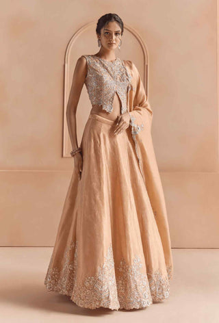 Sepia gold tissue lehenga set