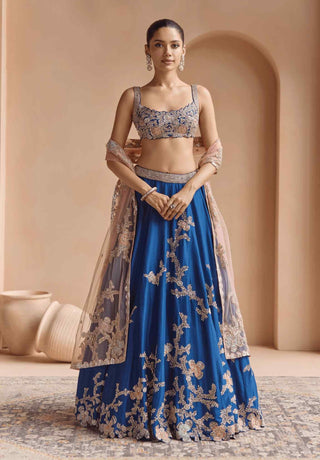 French navy embroidered lehenga set