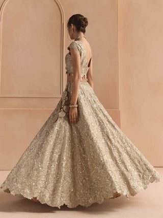 Beige champagne tissue lehenga set